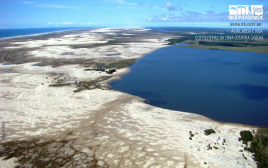 Água, areia e vida